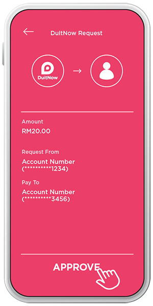 How to DuitNow Request